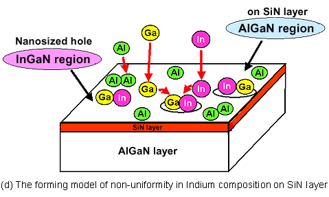 (d) The forming model of non-uniformity in Indium composition on SiN layer
